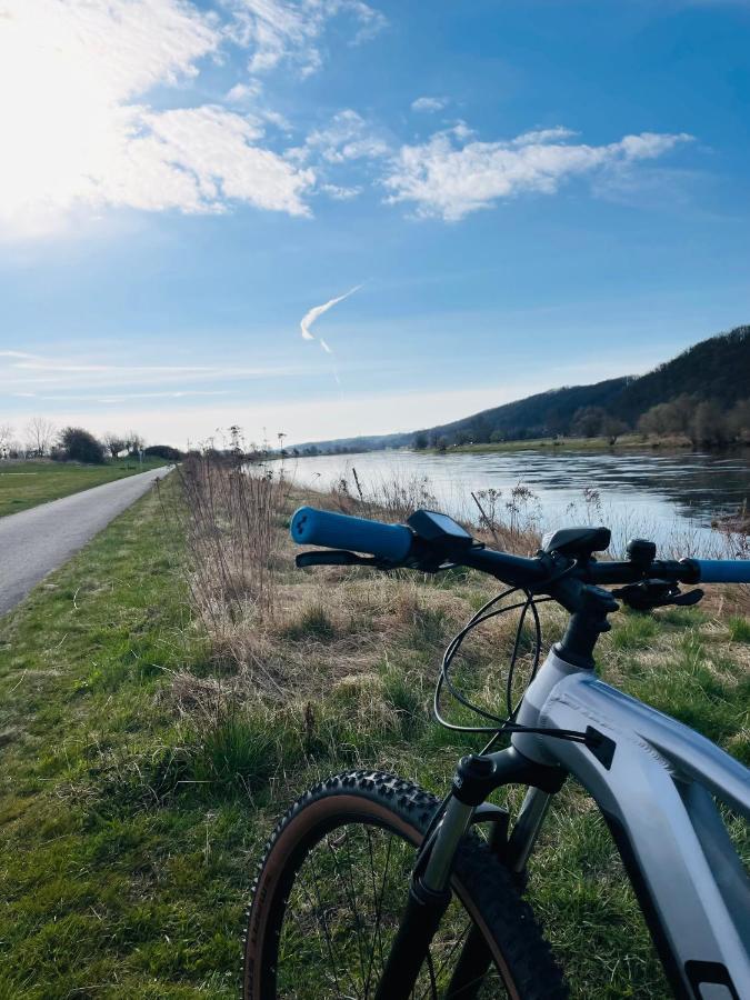 Am Elberadweg *
